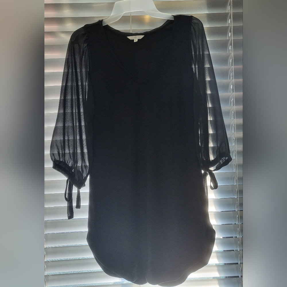 Camber & Grace Sheer Sleeve